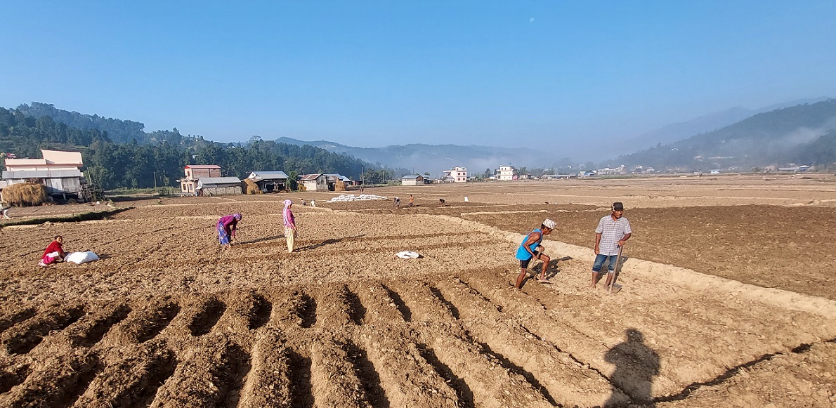 मकवानपुरमा कृषि योग्य जग्गा आवासीयमा वर्गीकरण गर्न अनुचित दबाब